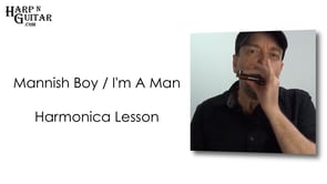 Mannish Boy / I'm A Man Harmonica Lesson