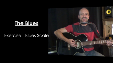 The Blues on Guitar and Harmonica Video Series