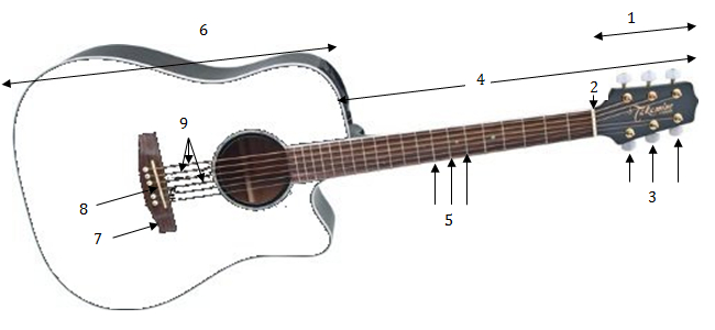 Parts of the guitar