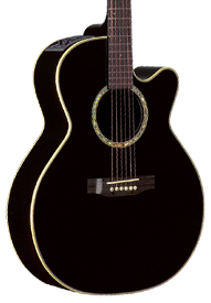 takamine-eg541sc acoustic guitar